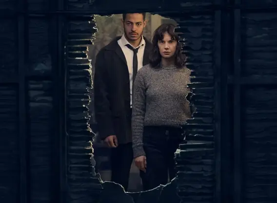 The Woman in the Wall TV Series