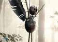 The Chestnut Man 2 TV Series